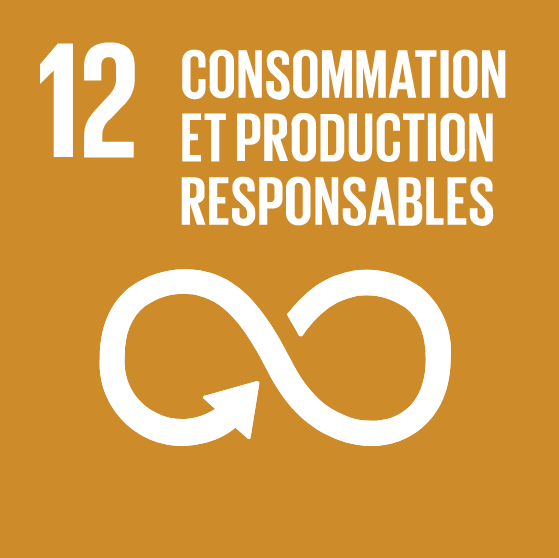 ODD 12 Cemer. Consommation et production responsables
