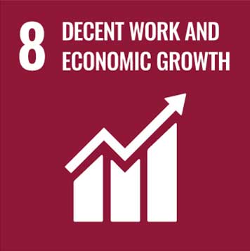 SDG 8. Decent work and economic growth